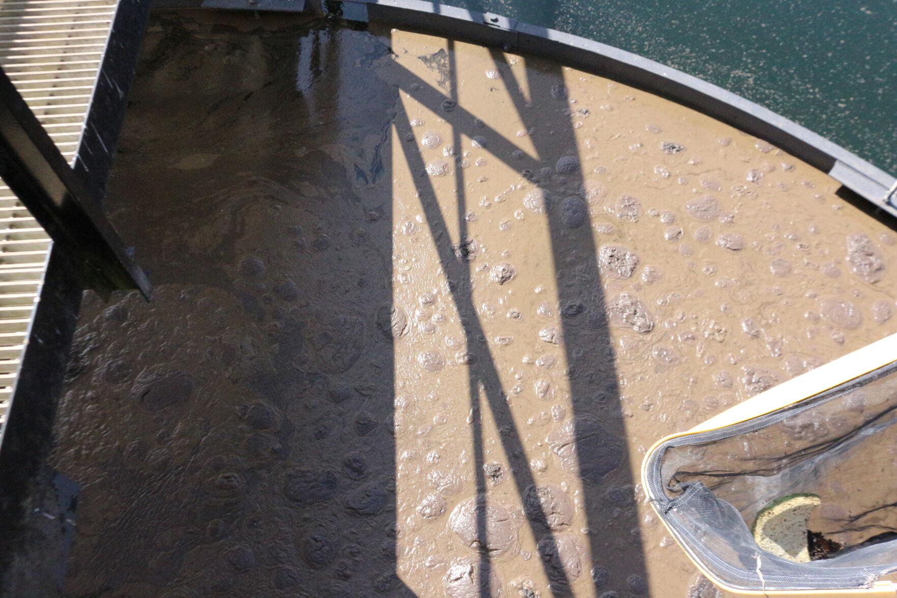 Cedar Creek Water Reclamation Facility Sludge